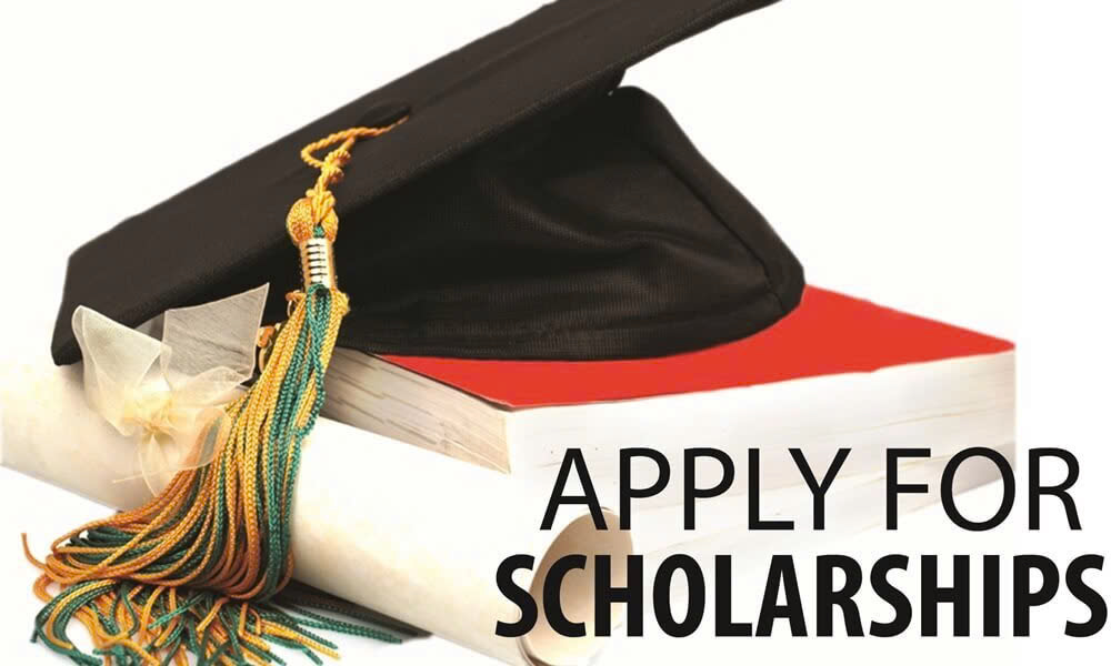 Học bổng của tỉnh/thành phố