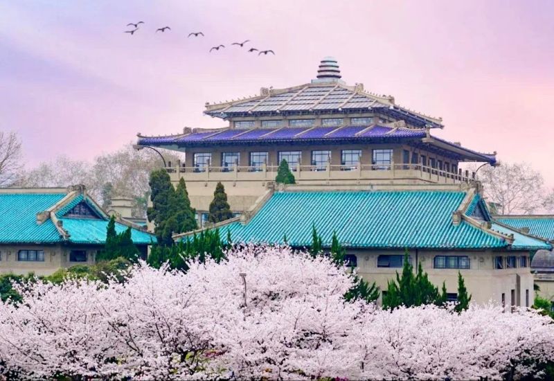 Khung cảnh Đại học Vũ Hán