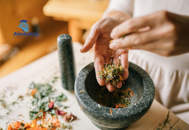 Học bổng du học Trung Quốc ngành y học cổ truyền