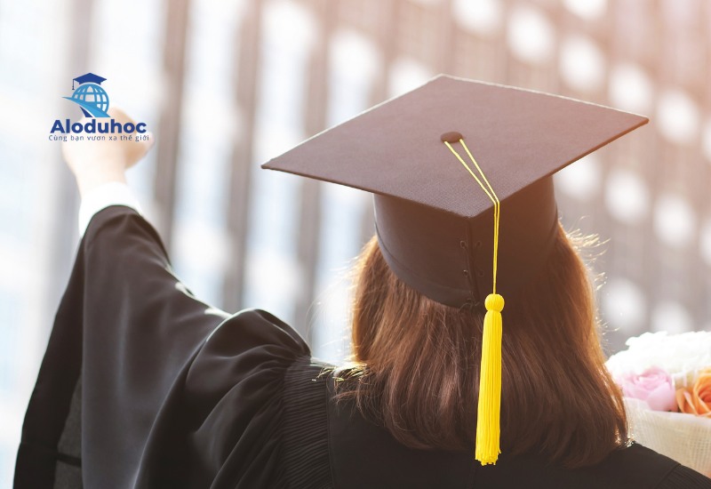 DU học Đài Loan nên học ngành gì