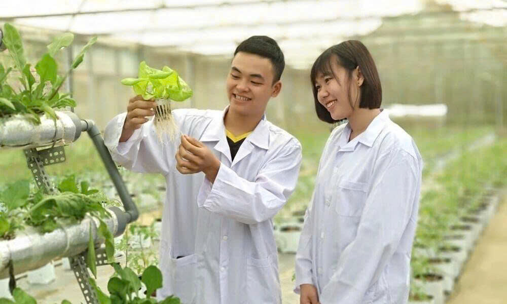 Nông nghiệp