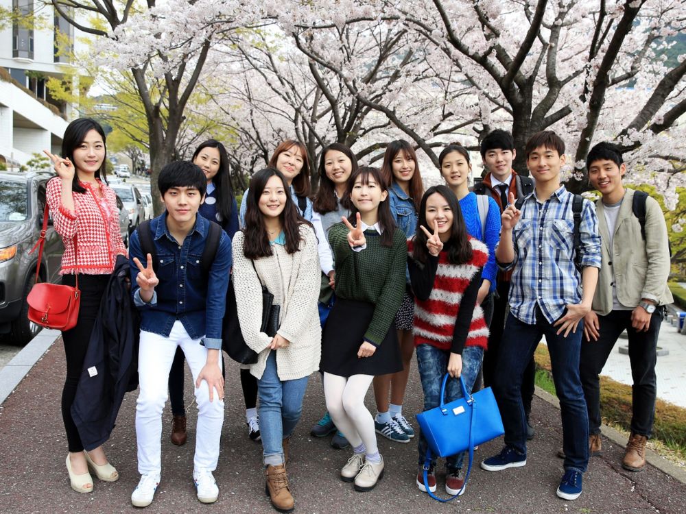 Chương trình du học chuyên ngành tại Hàn Quốc (D2-1, D2-2, D2-3, D2-4)