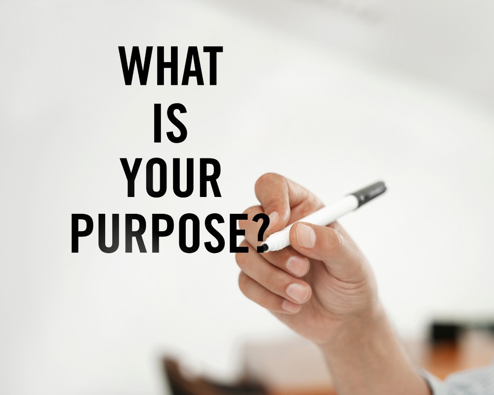 Không chứng minh được mục đích nhập cảnh