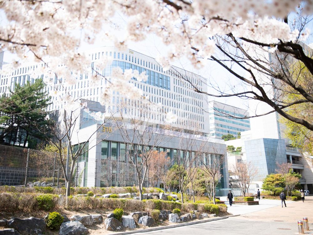 Trường đại học Hàn Quốc nào có nhiều du học sinh Việt Nam nhất?