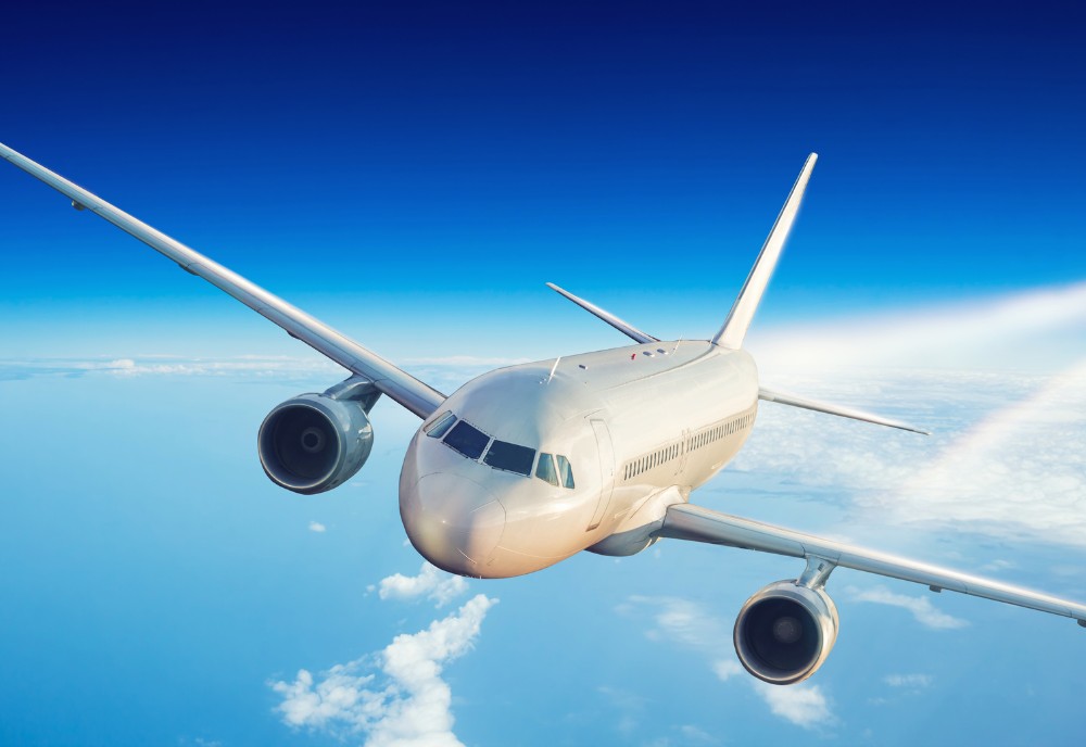 Nhóm câu hỏi đời sống, phản xạ nhanh