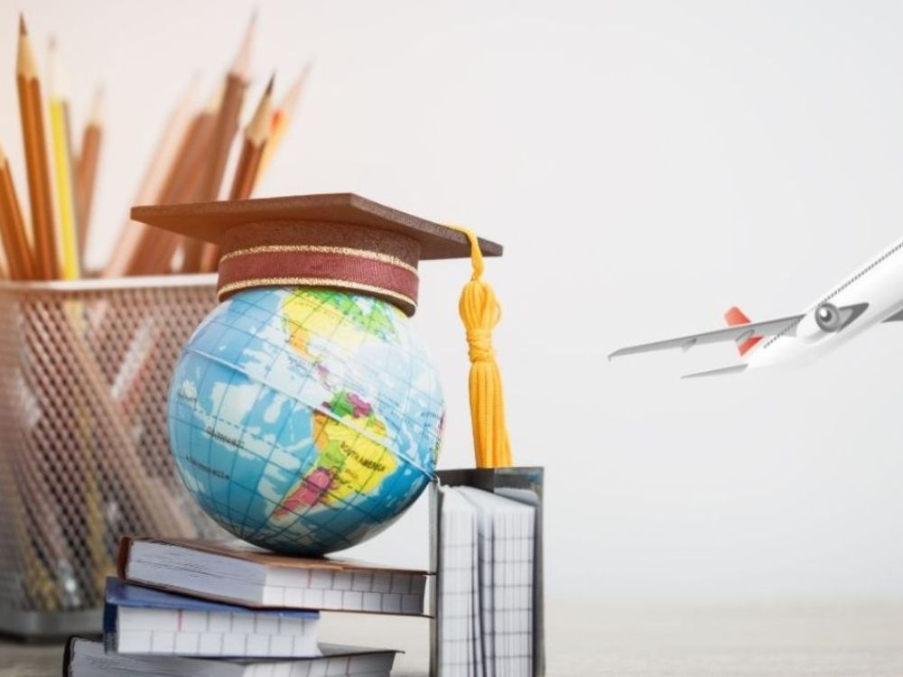 Visa du học nghiên cứu (D-2-5)