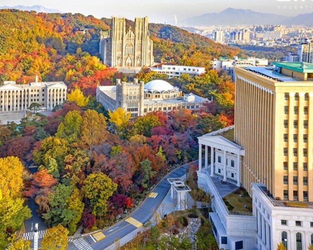 Làm sao để nhận biết trung tâm du học Hàn Quốc tại Hà Nội lừa đảo?