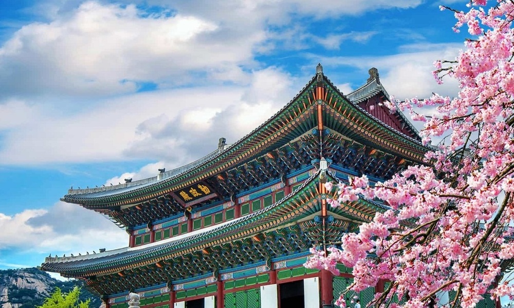 Môi trường sống an toàn, văn hóa Hàn Quốc đa dạng