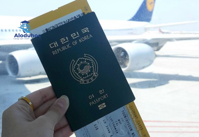 Trường hợp 3: Cơ quan đào tạo hoặc Giáo sư bảo lãnh tài chính