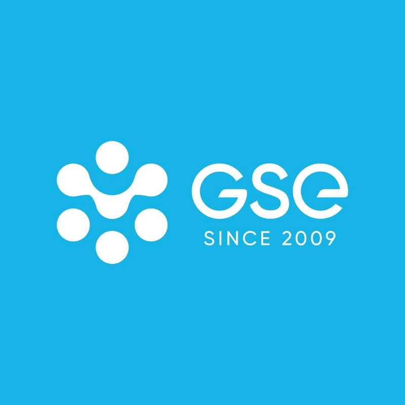 logo gse
